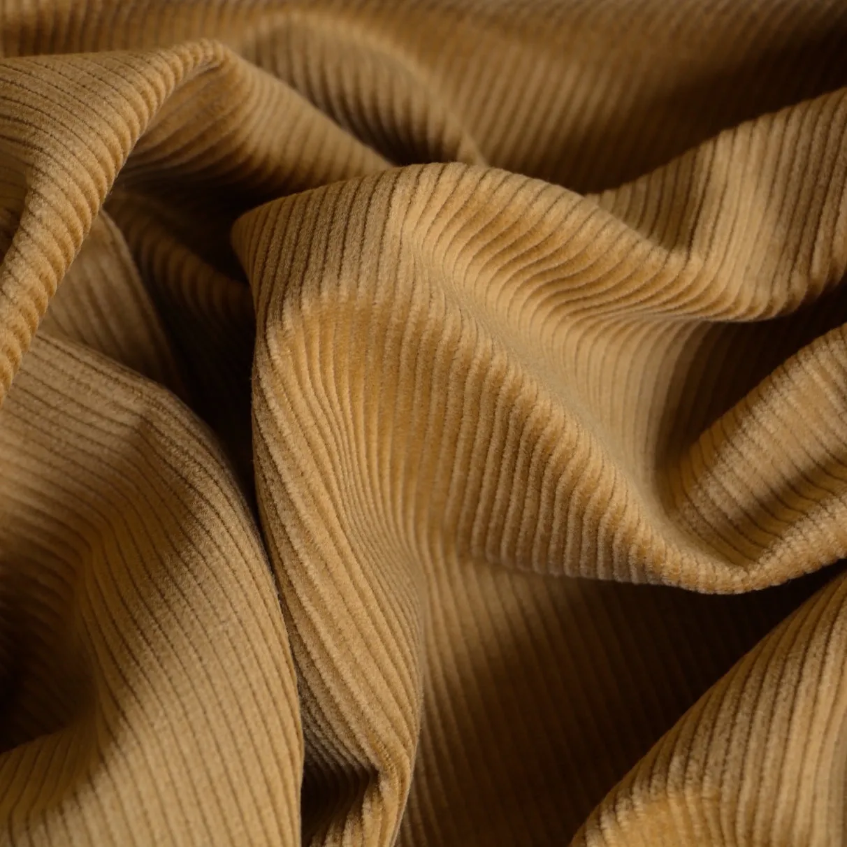 Velluto Rubino - Corduroy